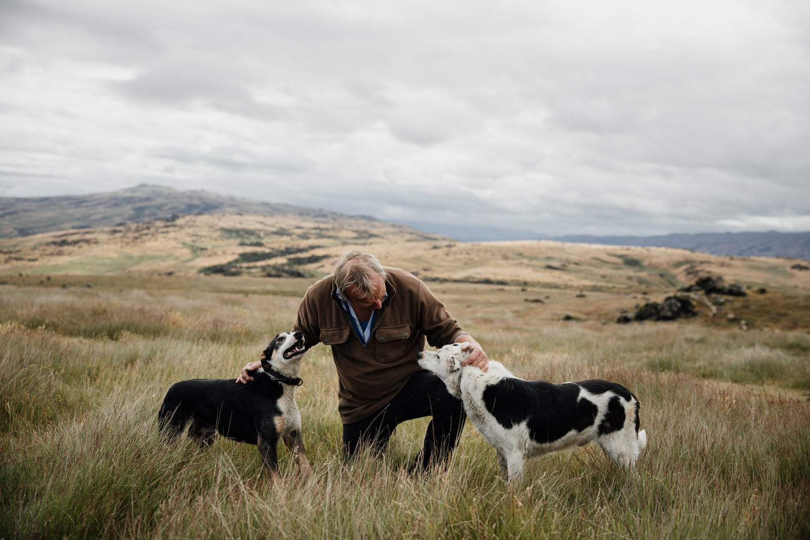 Country Life